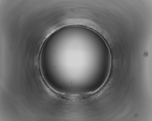 X0000097471521200802221224