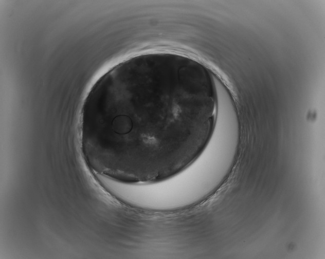 X0000097471522200802221224