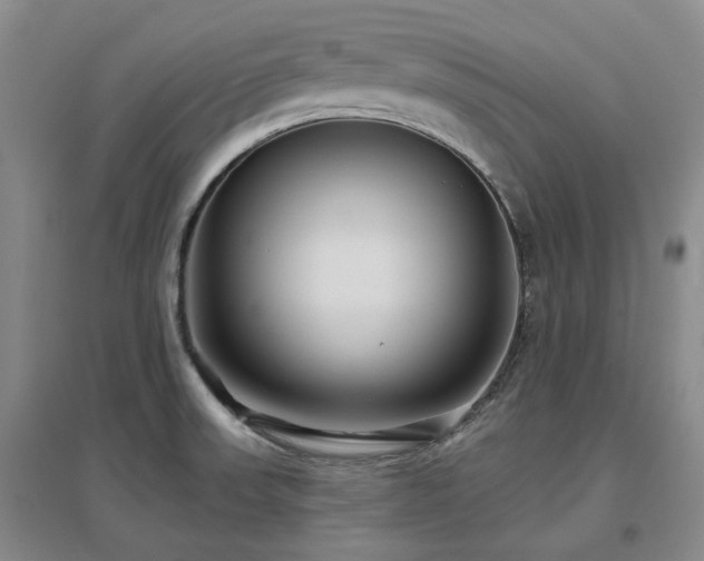 X0000097471523200802221224