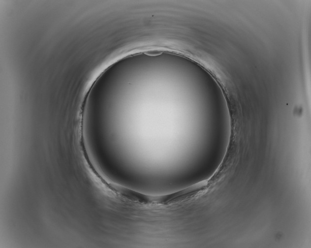 X0000097471524200802221224