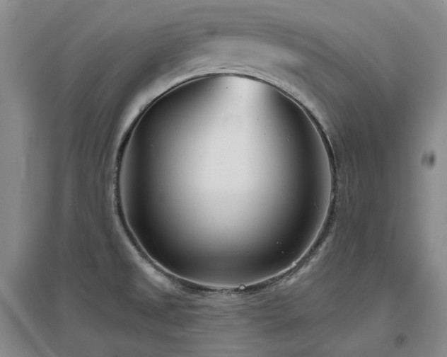 X0000097471525200802221224