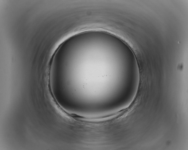X0000097471526200802221224