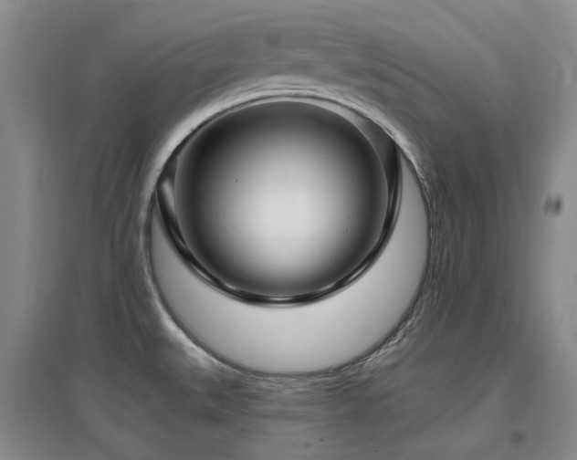 X0000097471527200802221225