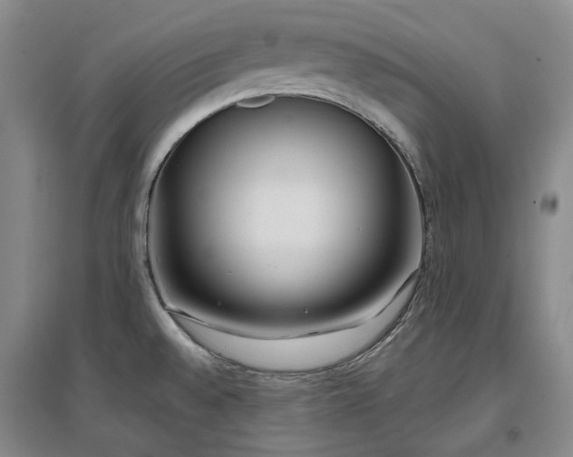 X0000097471528200802221225