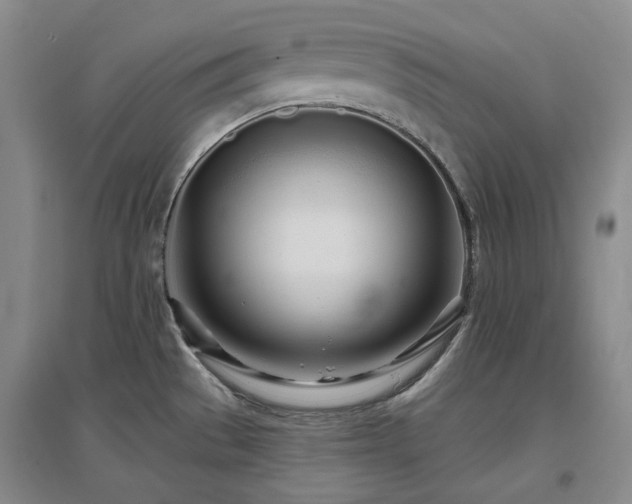 X0000097471529200802221225