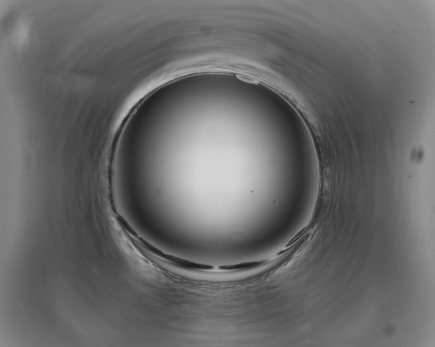 X0000097471530200802221225