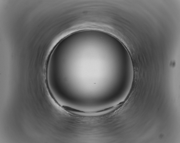 X0000097471531200802221225