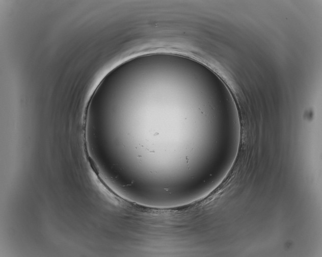 X0000097471532200802221225