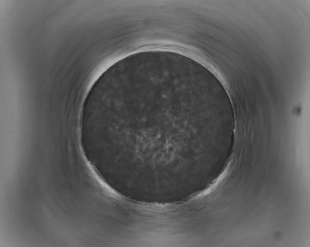 X0000097471533200802221225