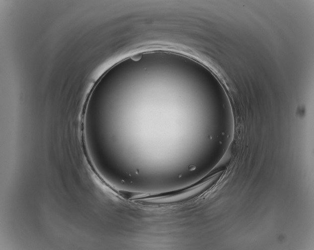 X0000097471535200802221225