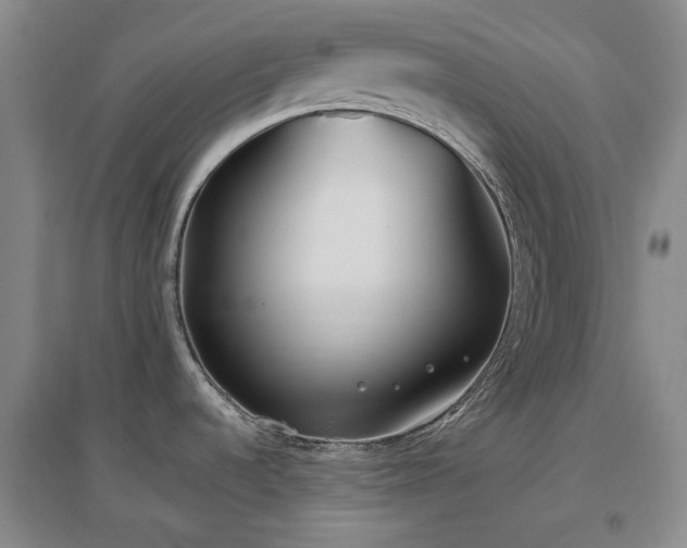 X0000097471536200802221225