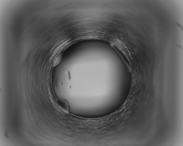X0000097470001200802291322