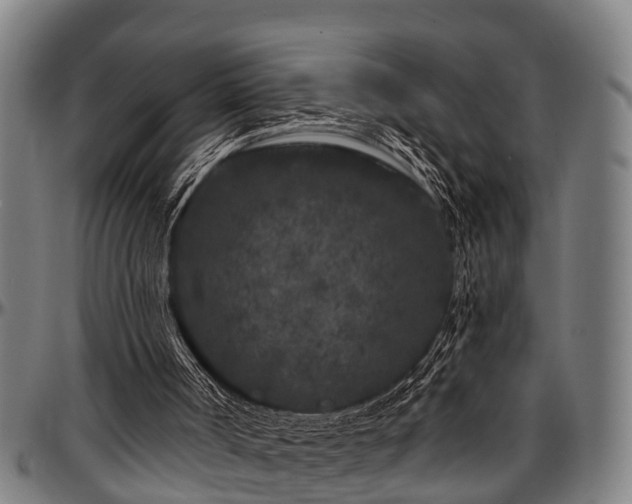 X0000097470002200802291322