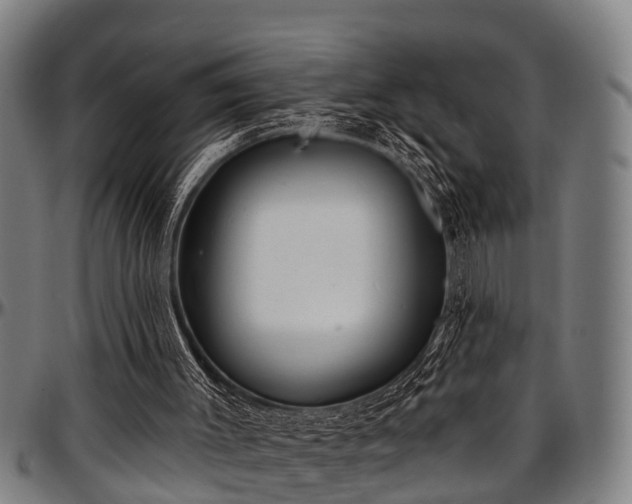 X0000097470003200802291322