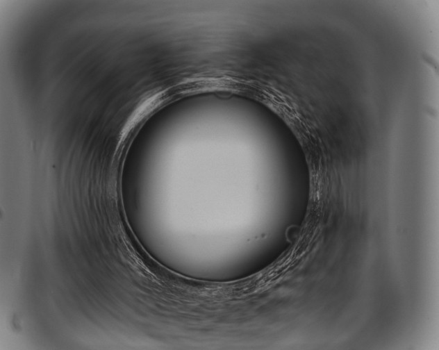 X0000097470004200802291322