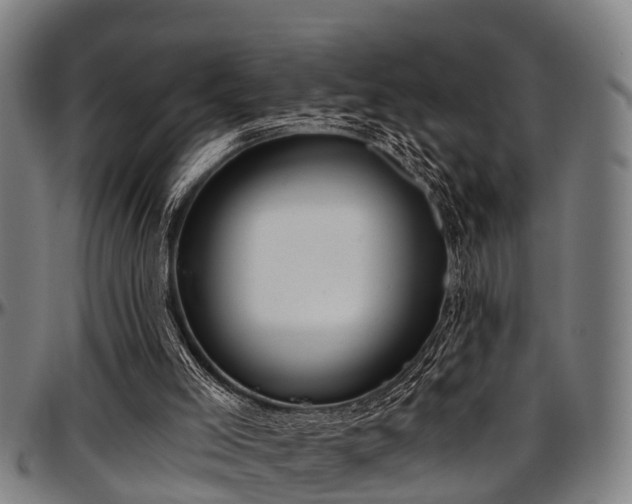 X0000097470005200802291322