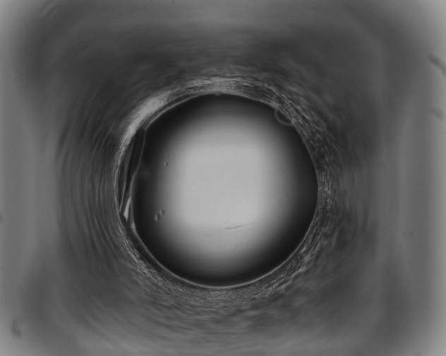 X0000097470006200802291322