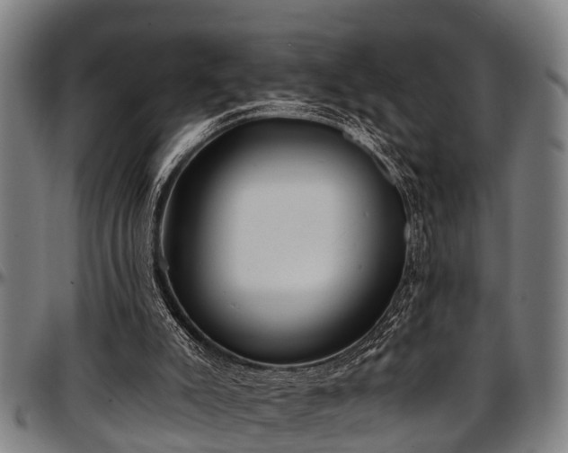 X0000097470007200802291322