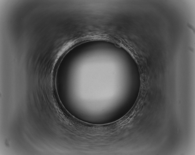 X0000097470008200802291322