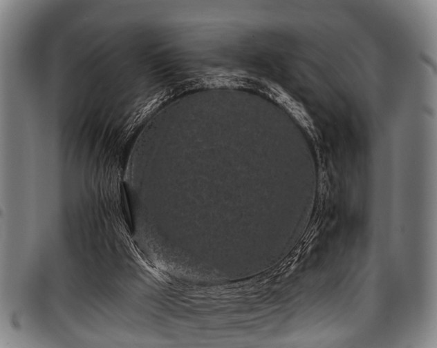 X0000097470009200802291322
