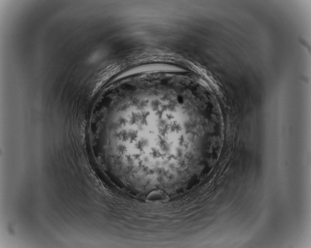 X0000097470010200802291322