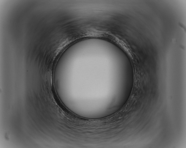 X0000097470011200802291322