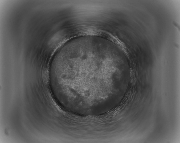 X0000097470012200802291322