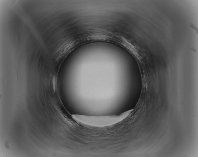 X0000097470013200802291322