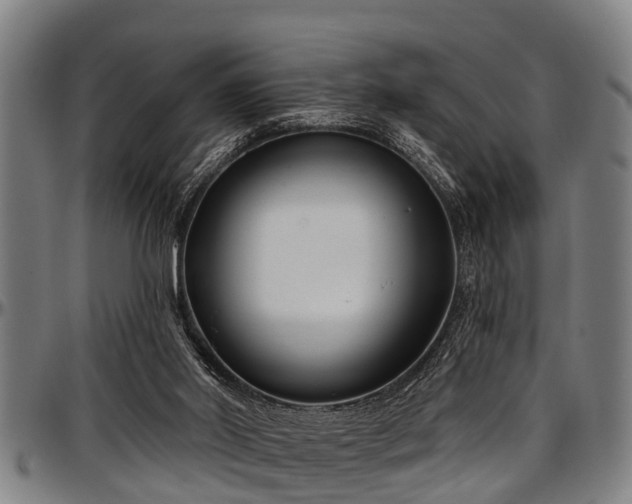 X0000097470014200802291322