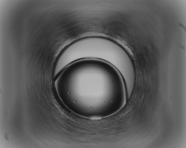 X0000097470015200802291322