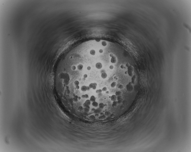 X0000097470016200802291322