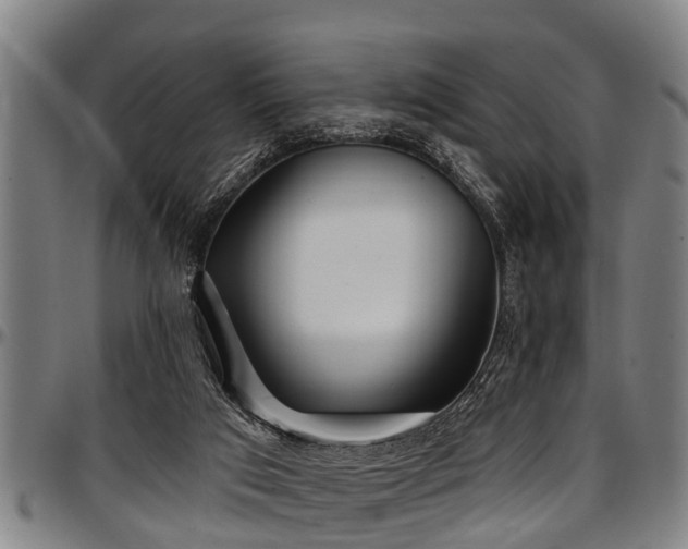 X0000097470017200802291322