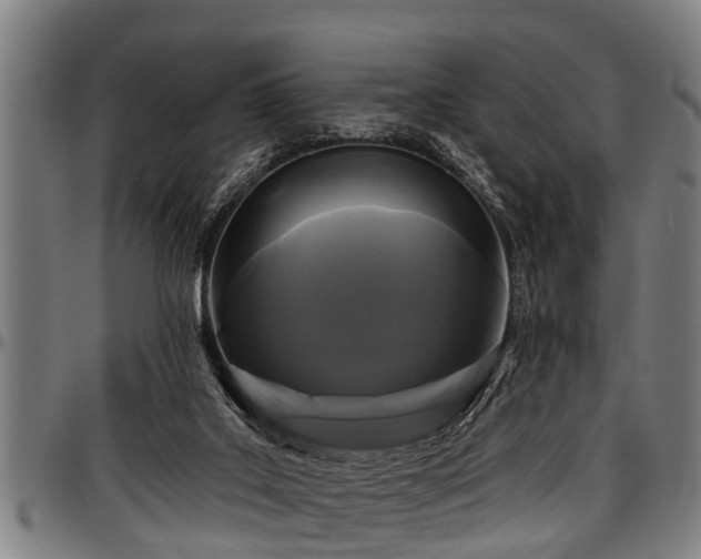 X0000097470019200802291322