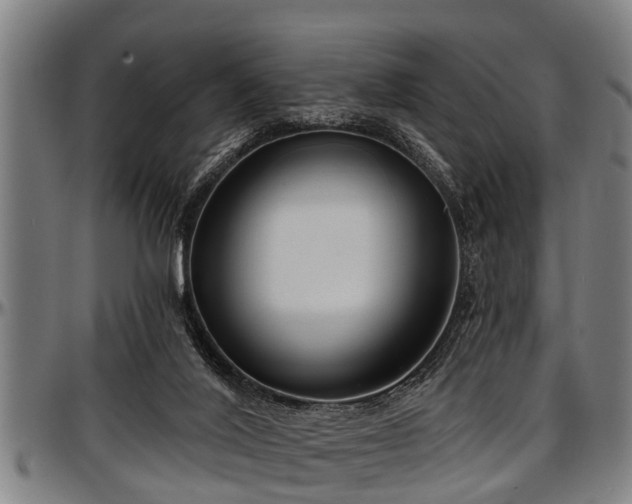 X0000097470020200802291322