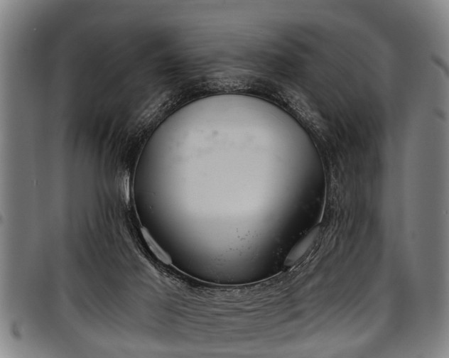 X0000097470021200802291322