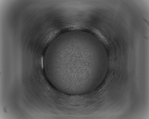 X0000097470022200802291322