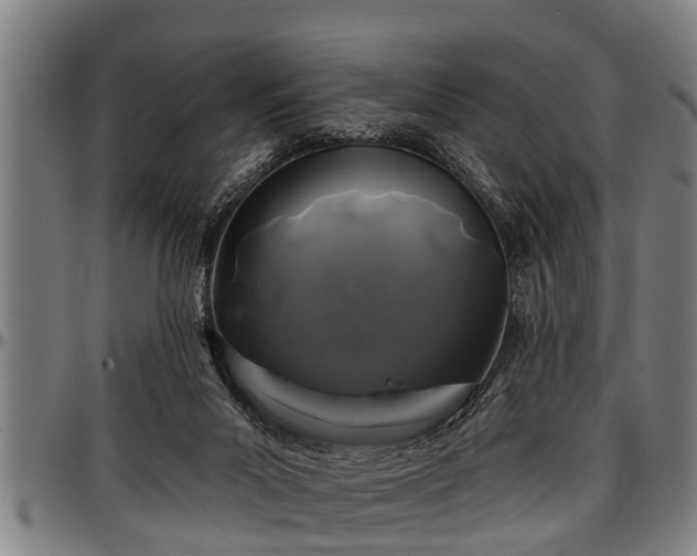 X0000097470023200802291322
