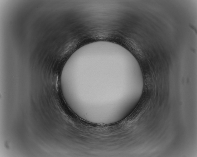 X0000097470024200802291322