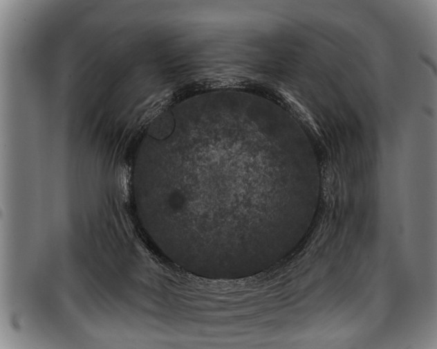 X0000097470026200802291322