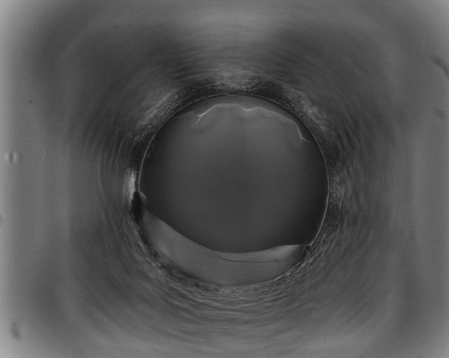 X0000097470027200802291322
