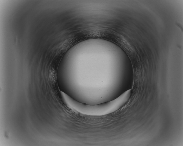 X0000097470029200802291322