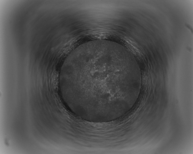 X0000097470030200802291322