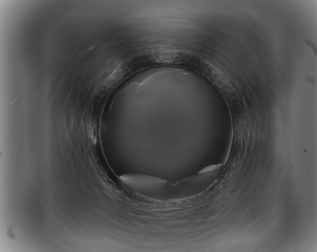 X0000097470031200802291322