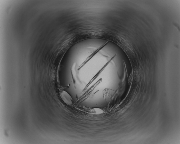 X0000097470032200802291322