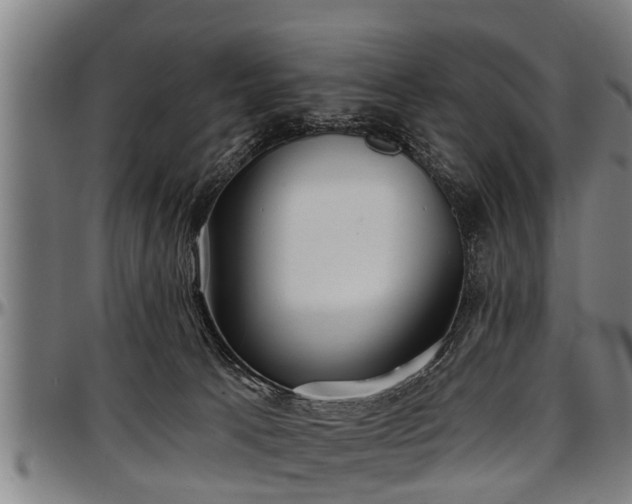 X0000097470033200802291322