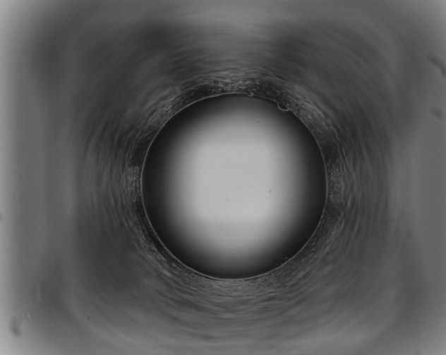 X0000097470034200802291322