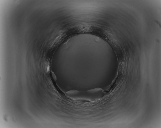 X0000097470035200802291321