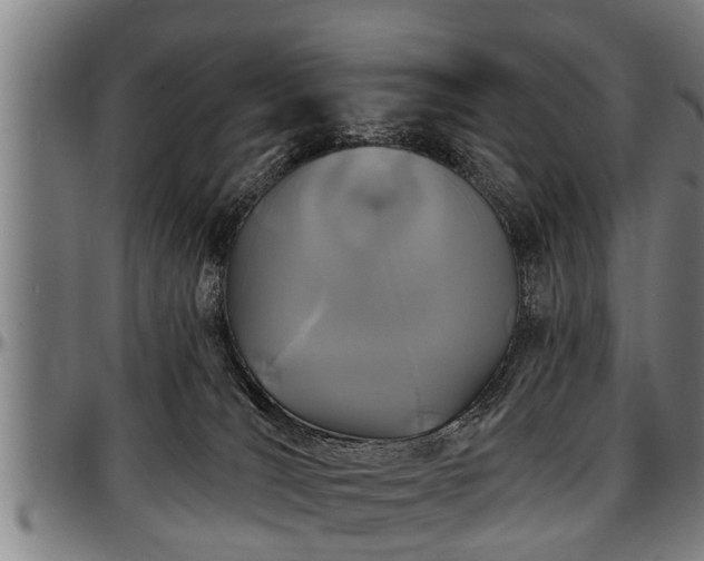 X0000097470036200802291321