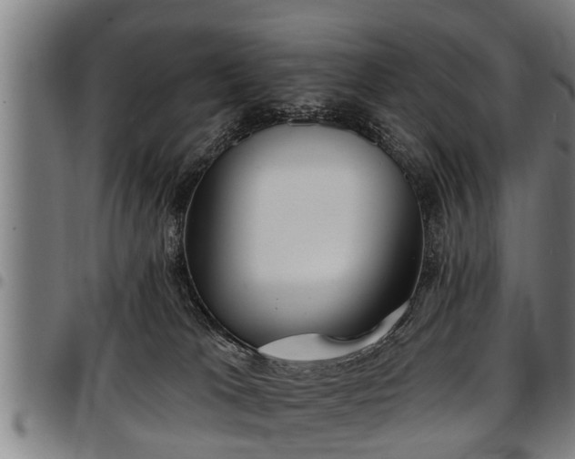 X0000097470037200802291321