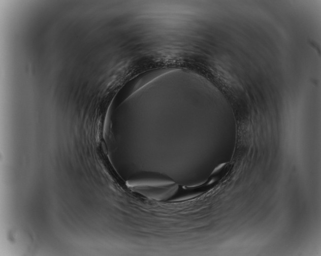 X0000097470039200802291321